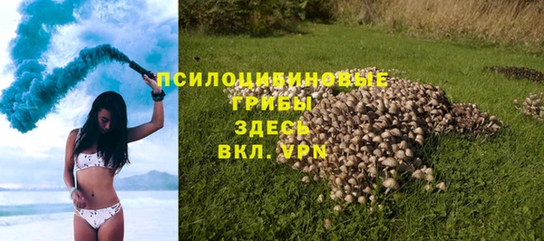 крисы Белоозёрский