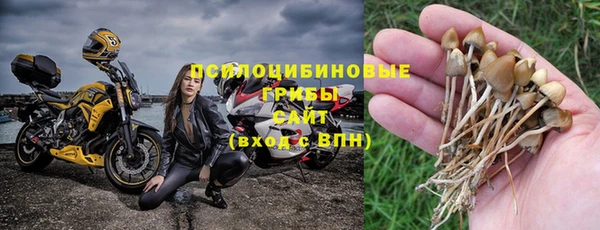 крисы Белоозёрский